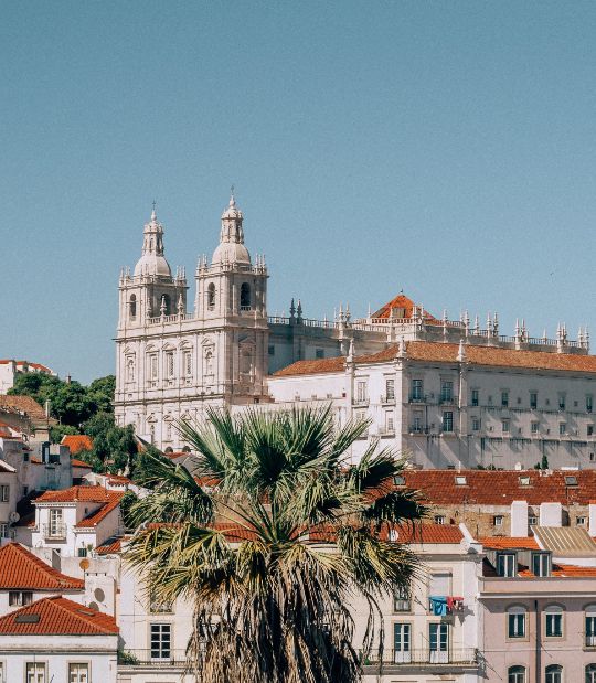 NEWCO is your local partner in Portugal